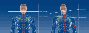 modelli-corpo-posturologia